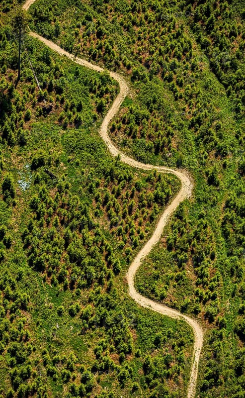 Mountain path at the Hochheide hut