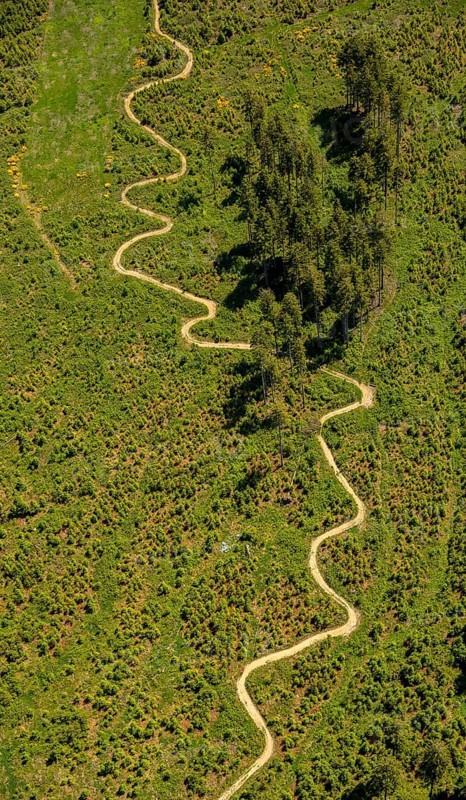 Mountain path at the Hochheide hut