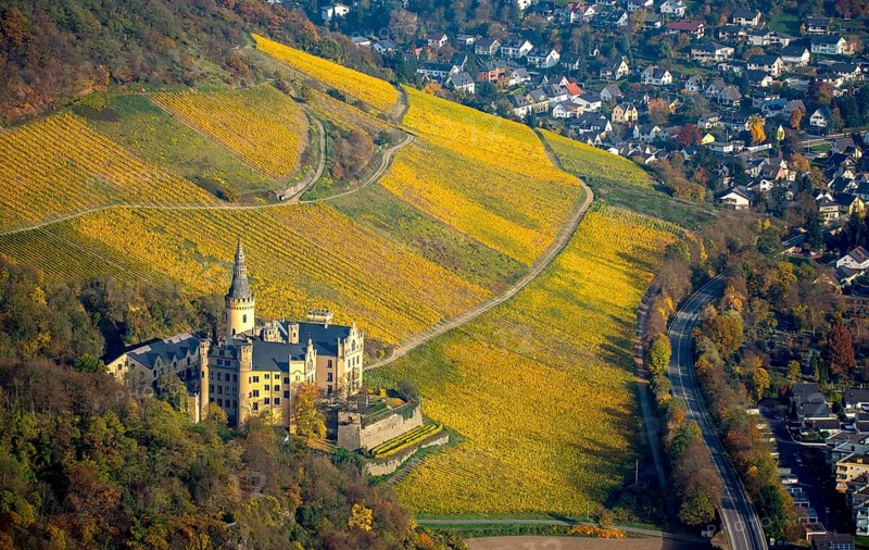 Arenfels Castle in vineyards in autumn