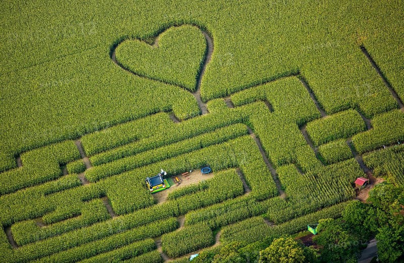 Labyrinth with a heart in the cornfield