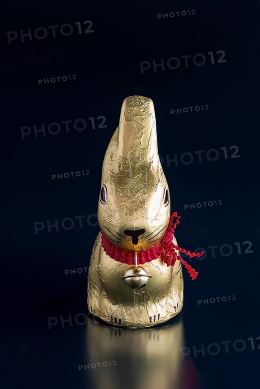 Easter bunny made of chocolate
