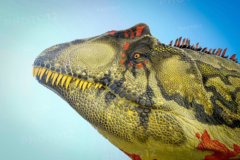Dinosaur