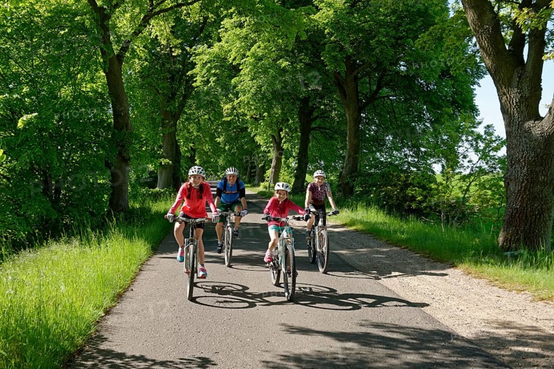 Family with children riding bicycles down avenue