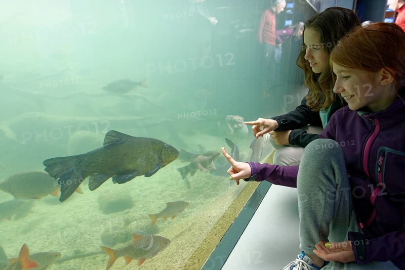 Girls in front of an aquarium with fish in Muritzeum