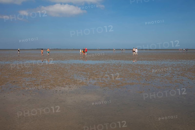 Walkers in the mudflats