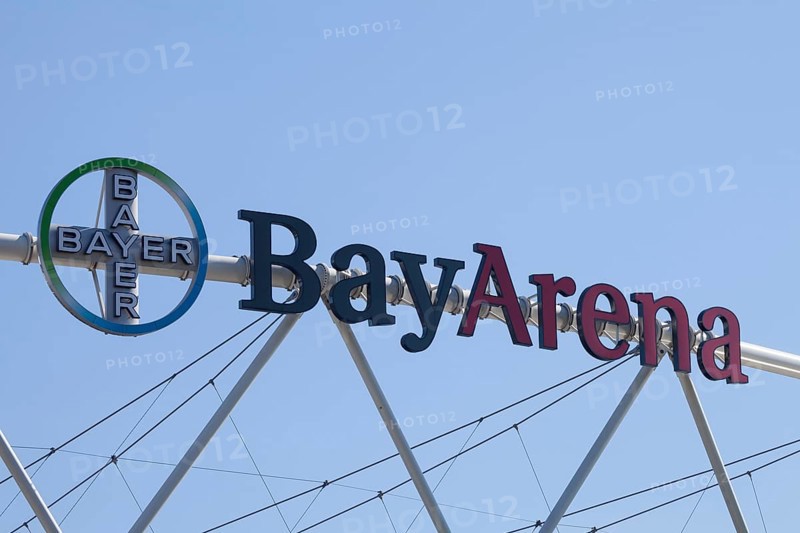 Bayer cross