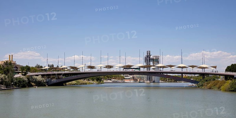 Cachorro Bridge
