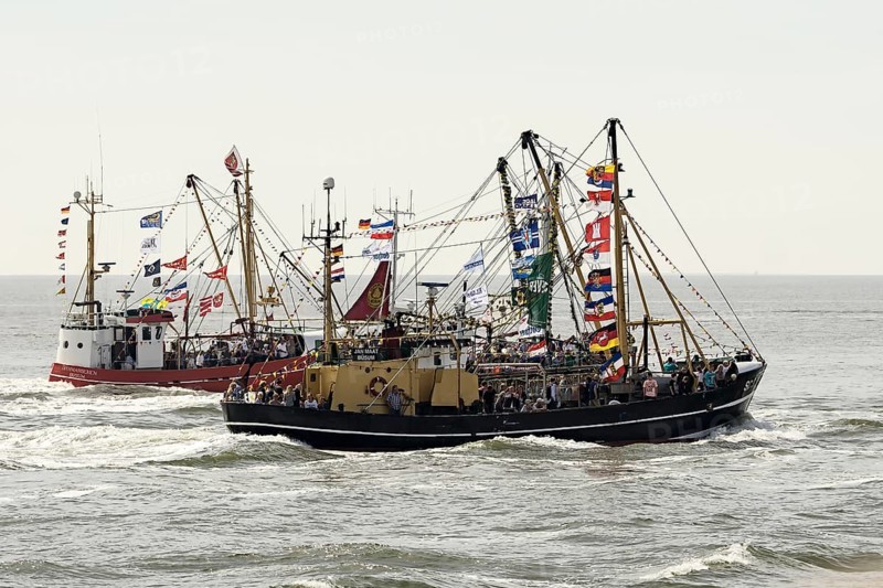 Festively decorated shrimp boats