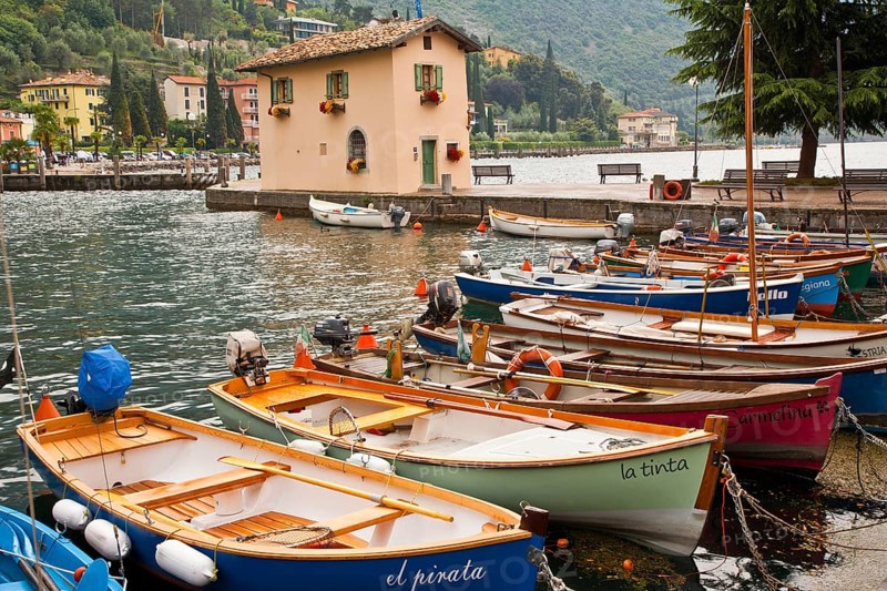 Rowing boats in harbour