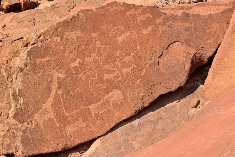 Neolithic petroglyphs of animals