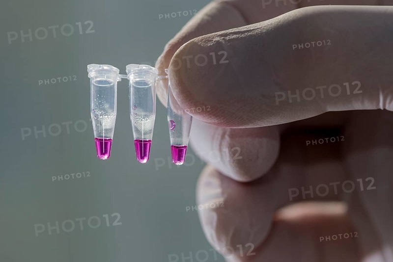 PCR-Single caps for Polymerase Chain Reaction
