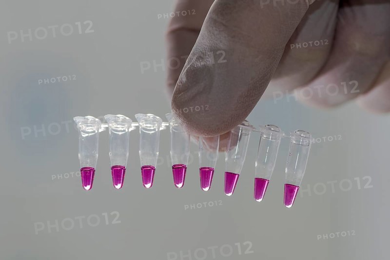 PCR-Single caps for Polymerase Chain Reaction