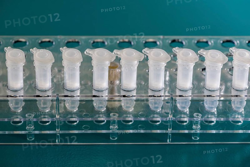 White Spin Filter sorted in a transparent rack