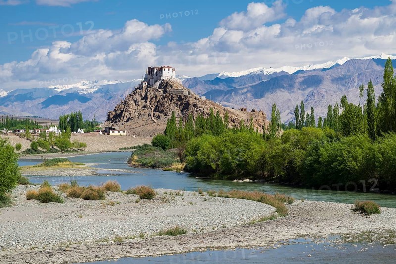 Stakna Gompa on a hill above the Indus Valley and surrounded by green trees