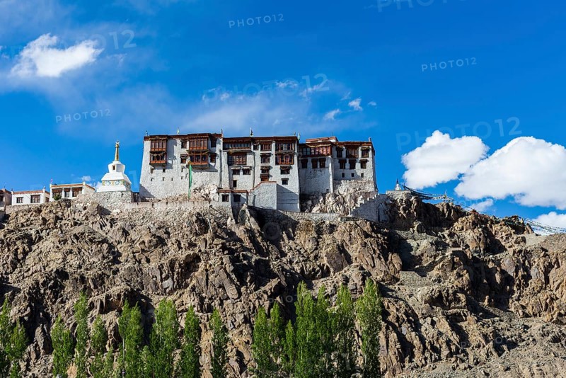 Stakna Gompa on a hill above the Indus Valley and surrounded by green trees