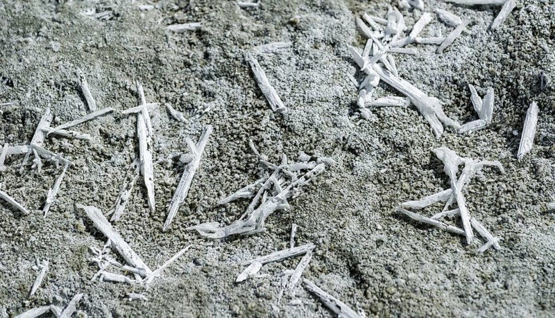 Salt crystals at Tso Kar