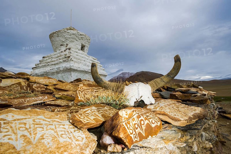 A yak skull with the engraved mantra "Om Mani Padme" Hum and Mani stones at a stupa at Tso Kar