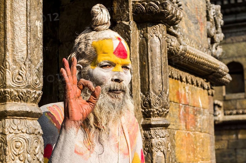 The portrait of a Sadhu