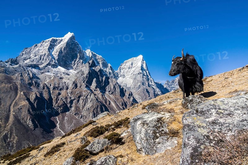 View of the mountains Cholatse and Tabuche Peak