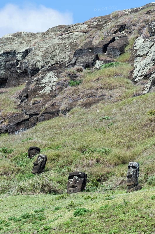 Moais on the flanks of Rano Raraku volcano