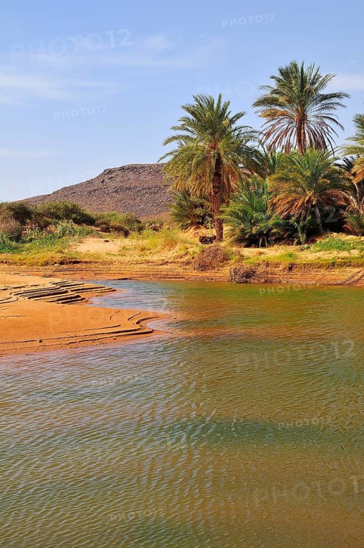 Waterhole in a Wadi or Oued