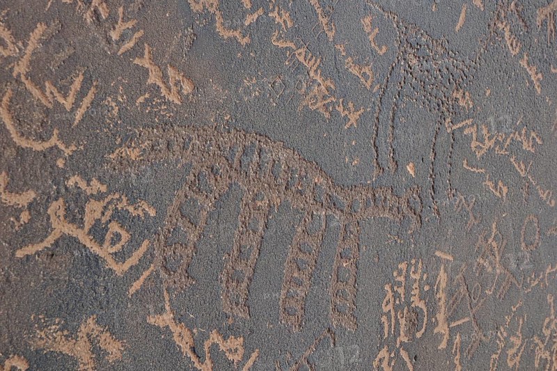 Stone Age petroglyphs and new graffiti in Arabic script