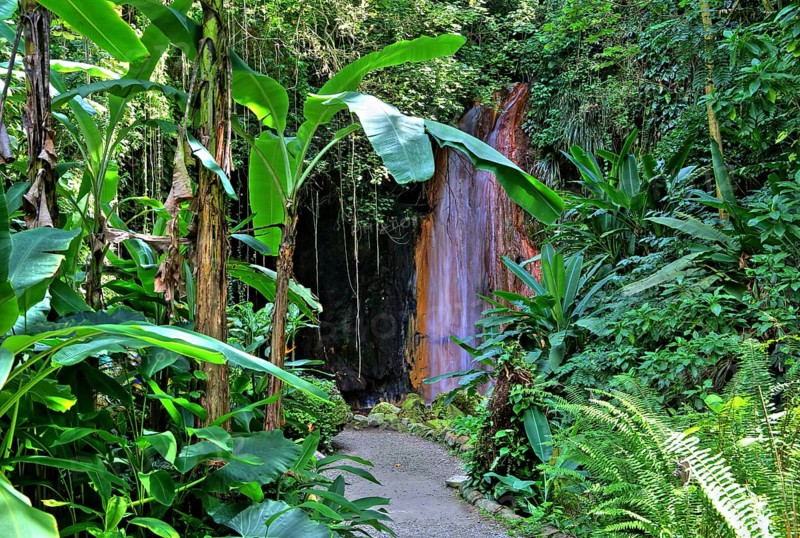 Diamond Waterfall in the Botanical Garden with tropical vegetation