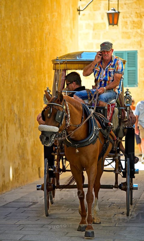 Horse and cart with tourists in the narrow streets of Mdina