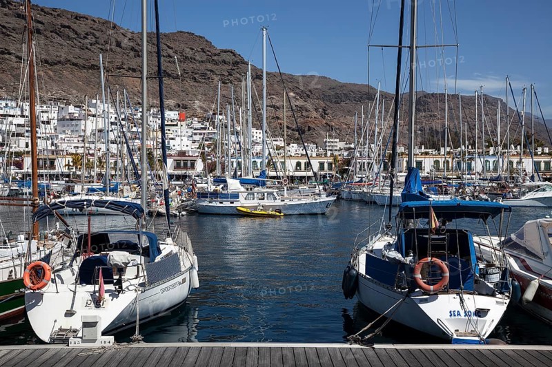 Yachts in the marina