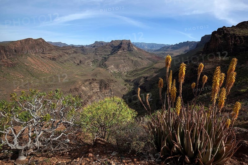 View from Mirador Degollada de Las Yeguas to Barranco de Fataga