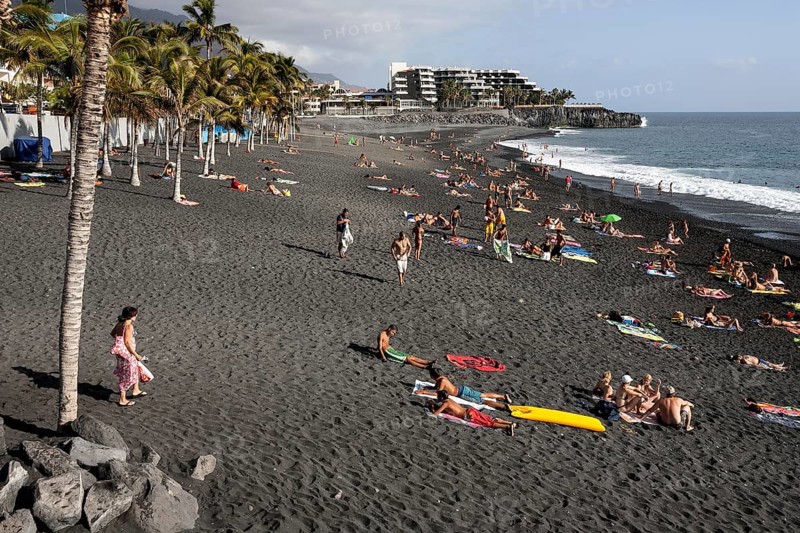 Lava beach with palm trees