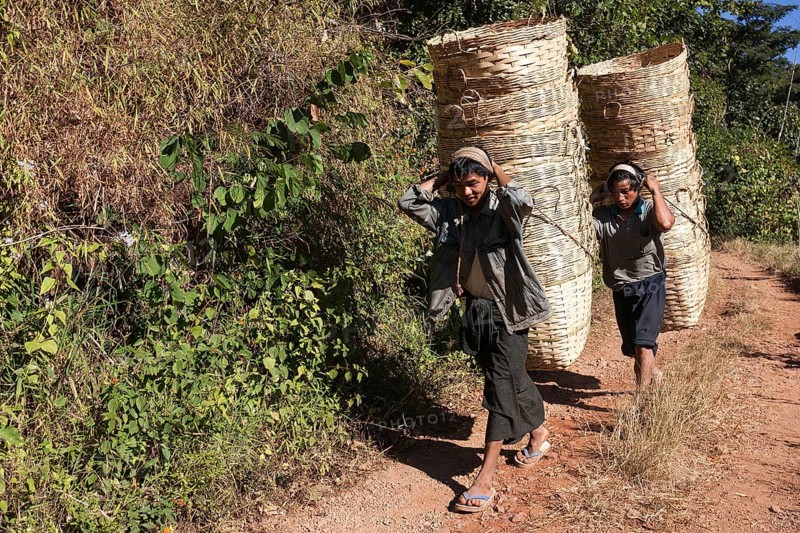 Young Palaung tribesmen carrying baskets in Kalaw