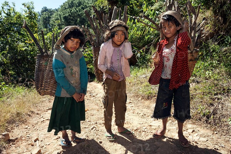 Girls from Palaung tribe carrying firewood