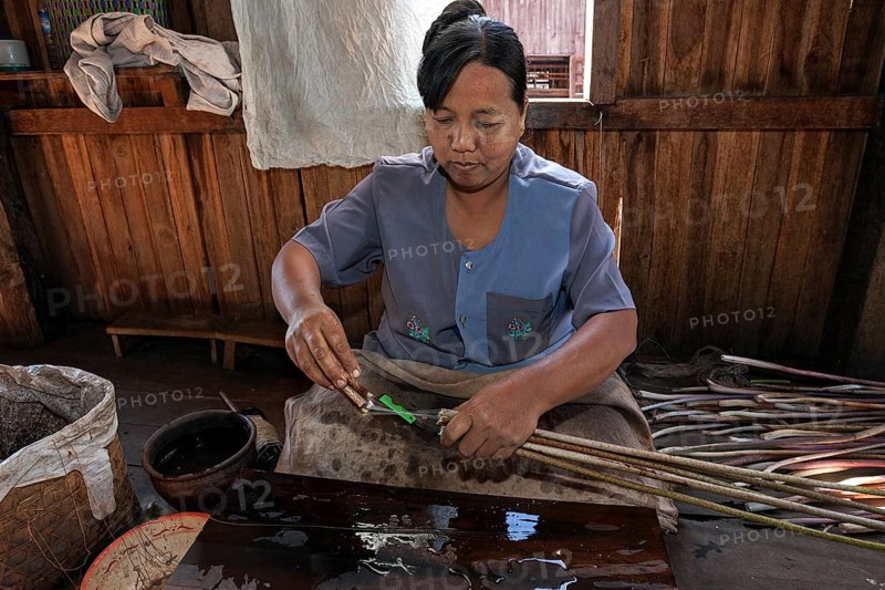Manufacture of silk threads from the stems of lotus plants