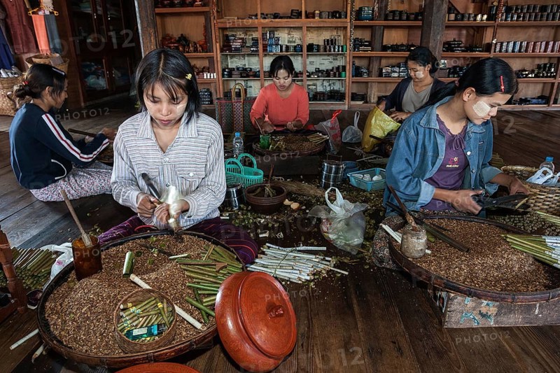 Local girls manufacturing cheroot cigars