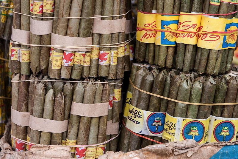 Cheroot cigars