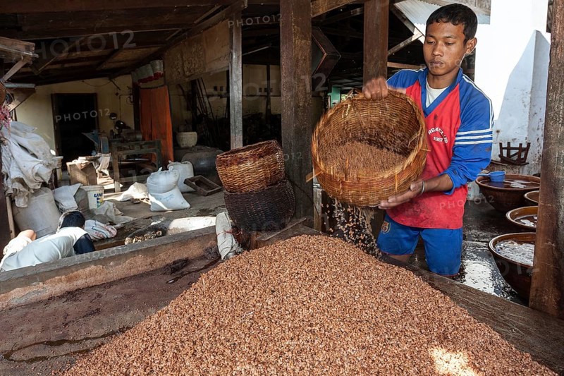 Local boy working in soybean paste processing
