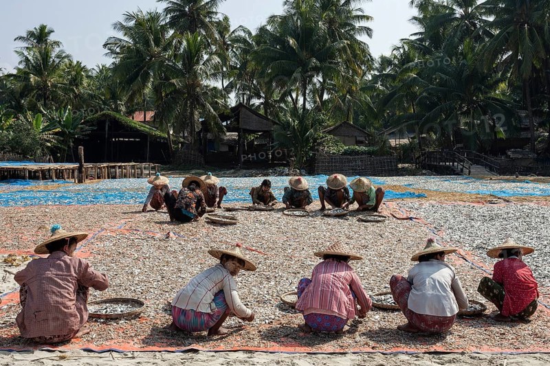 Local women wearing straw hats