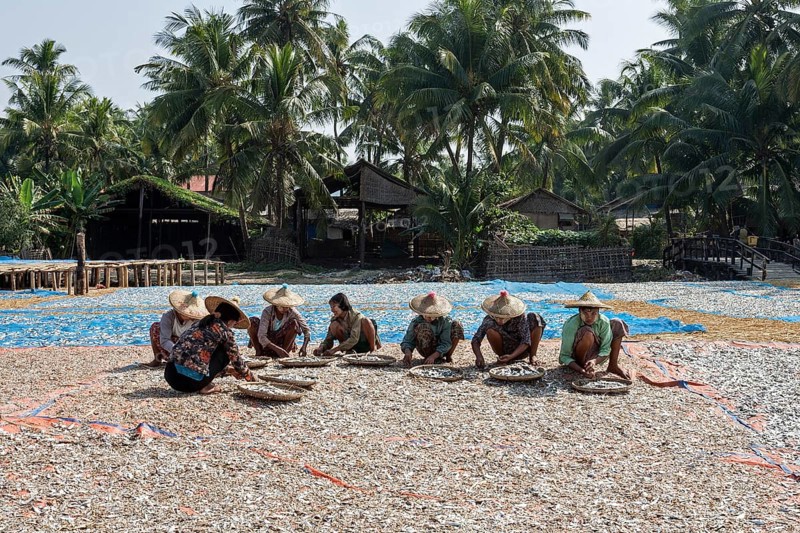 Local women wearing straw hats