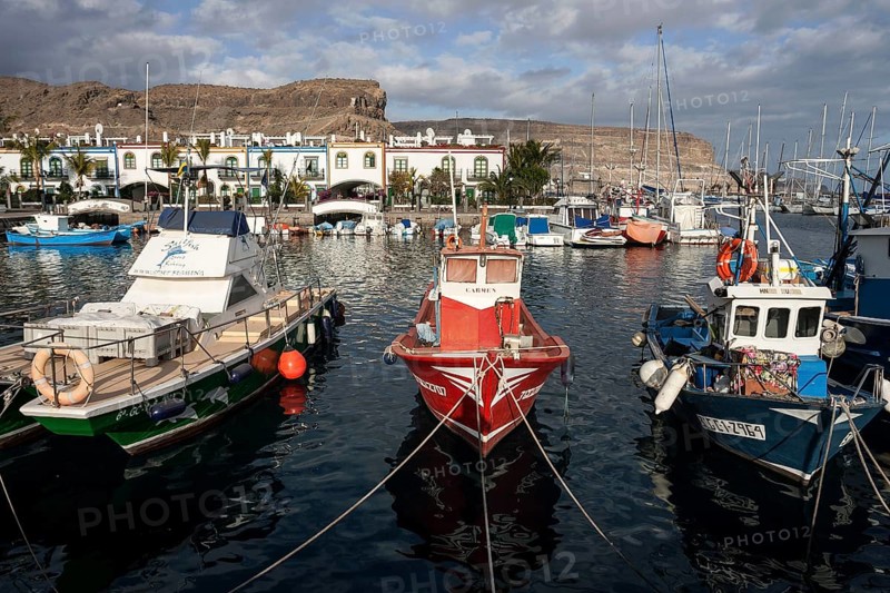 Fishing boats in the harbor