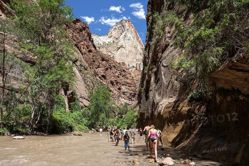 North Fork Virgin River