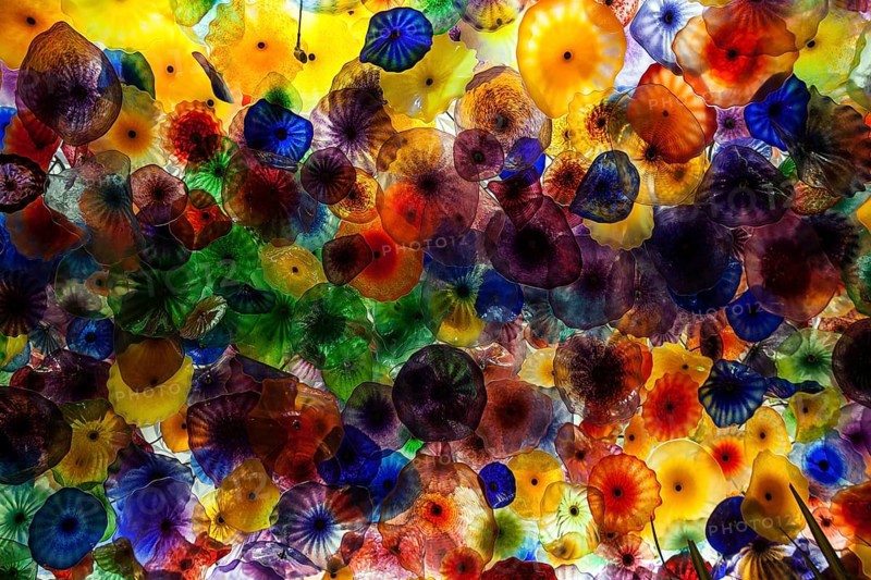 Colourful hand blown glass flowers