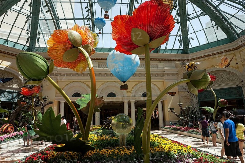 Exhibits in botanical garden conservatory