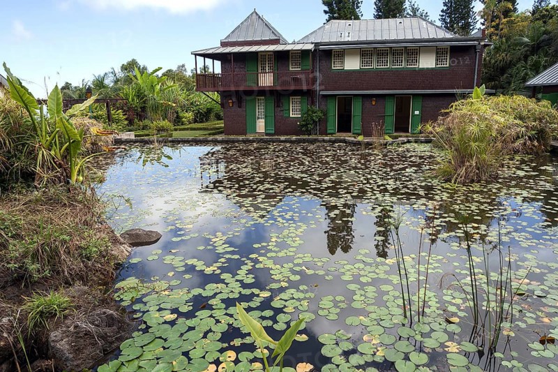 Water lily pond in the Conservatoire Botanique National de Mascarin