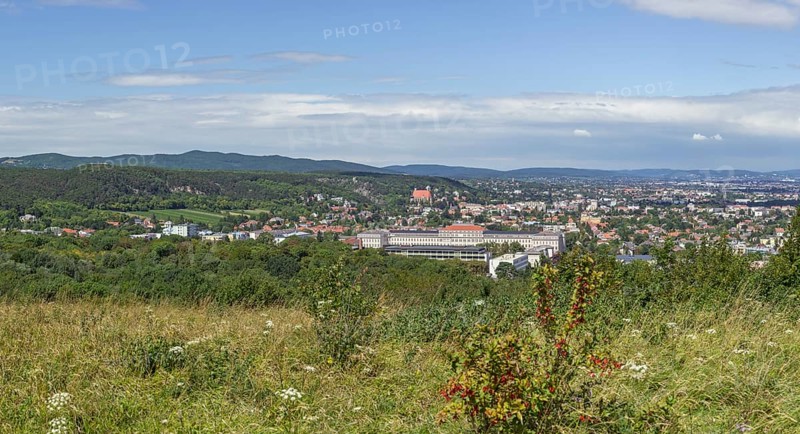 View from Eichkogel towards Modling