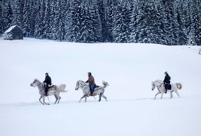 Horse-riders in a winter landscape