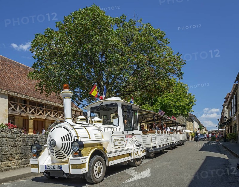 Train for tourists
