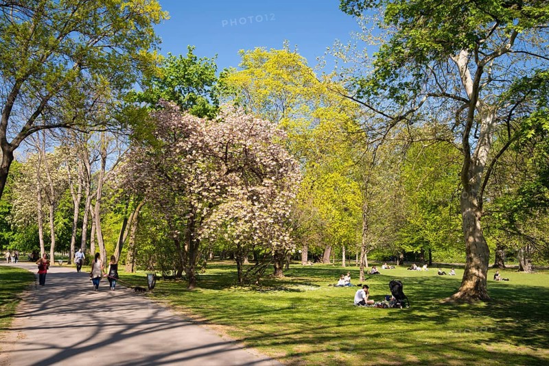 Park on Margaret Island