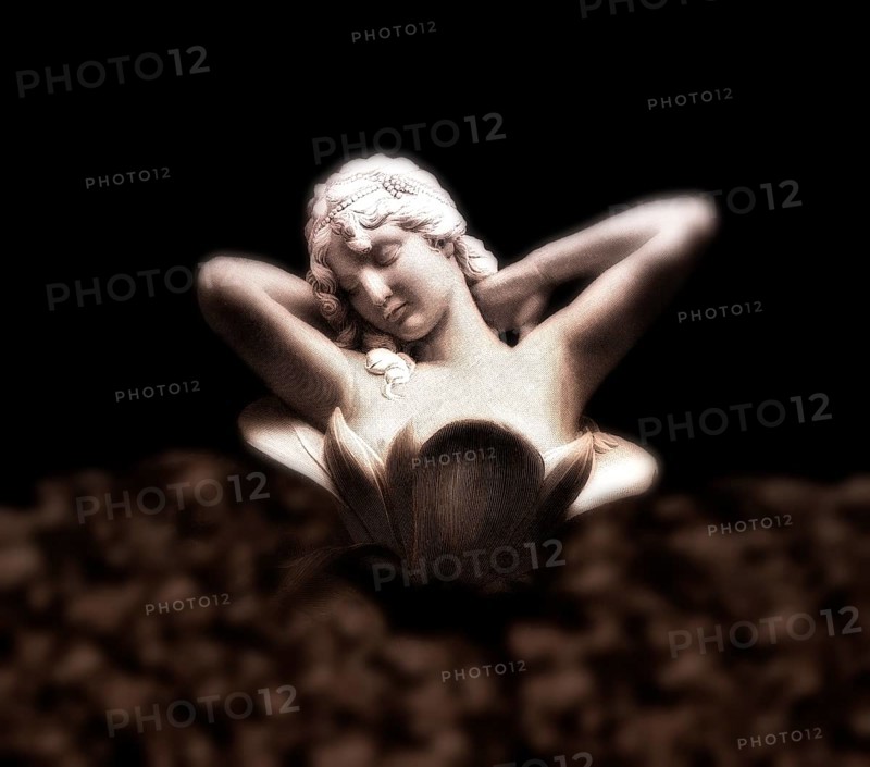A young woman in a lotus blossom