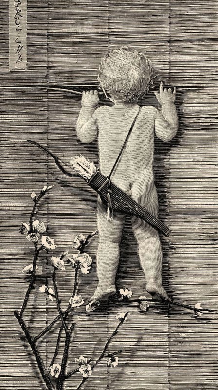 Curious Cupid